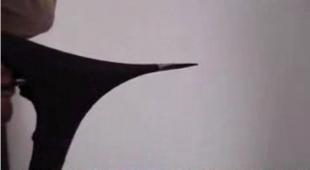 建筑建材領(lǐng)域技術(shù)轉(zhuǎn)讓與開發(fā) 引氣劑、外墻彈性膩子粉、水泥脫模劑應(yīng)用前景